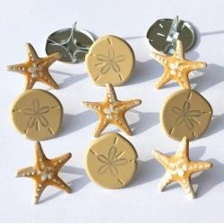 [480949] Brads Estrellas de Mar y Costa